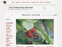 Tablet Screenshot of drzewapolski.pl